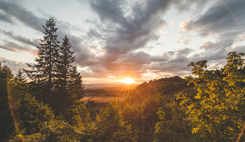 trees-sunset-valley-clouds